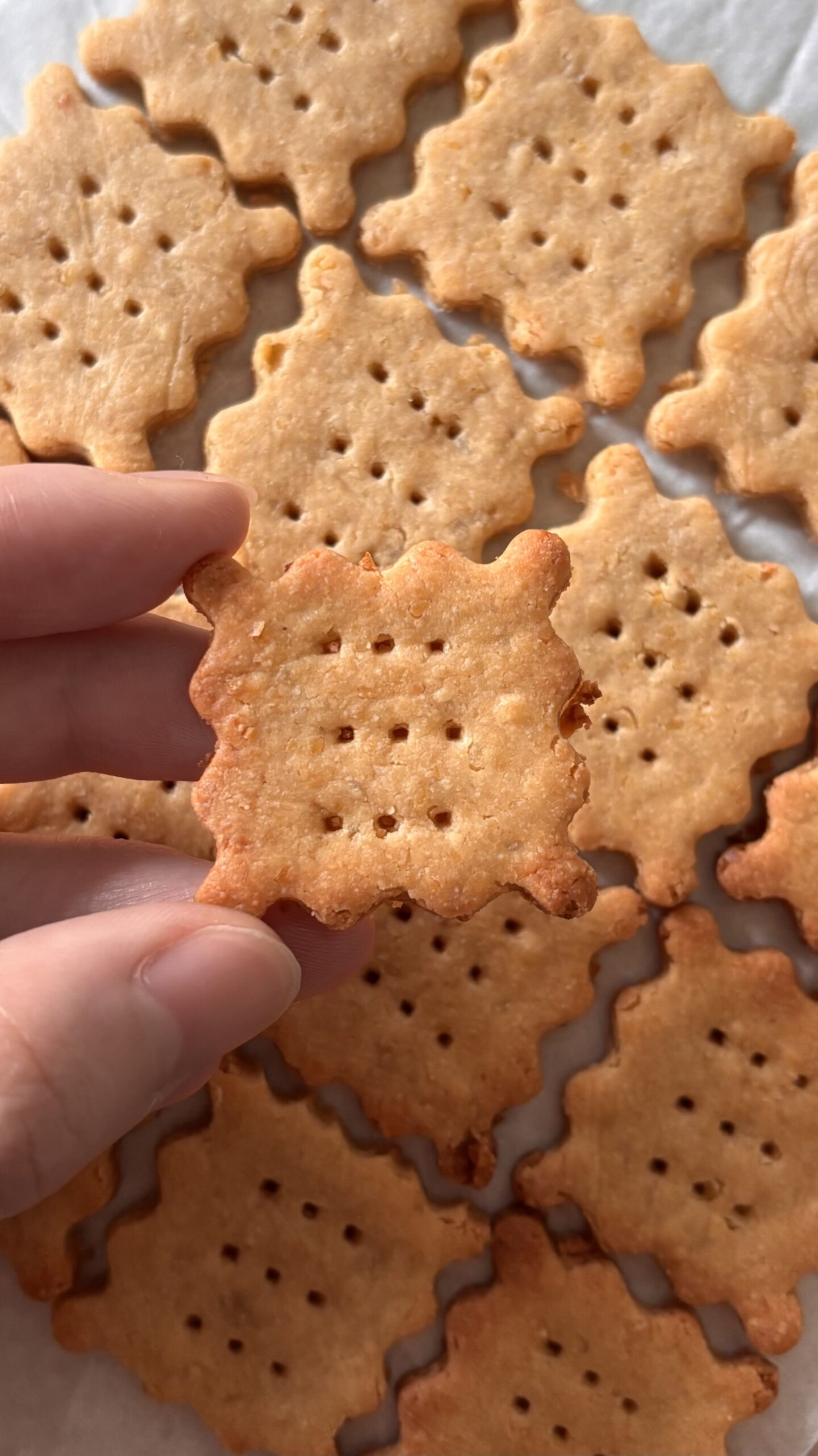 ♯1【ひよこ豆】オートミールビスケット